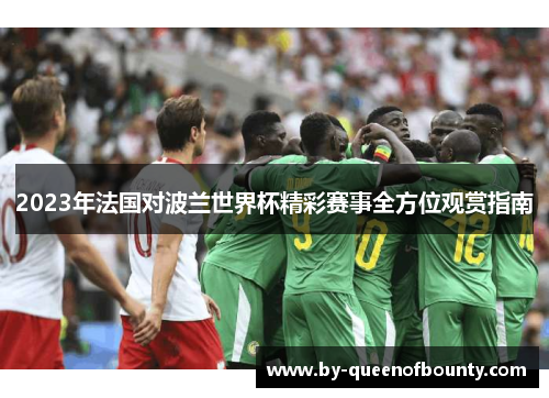 2023年法国对波兰世界杯精彩赛事全方位观赏指南